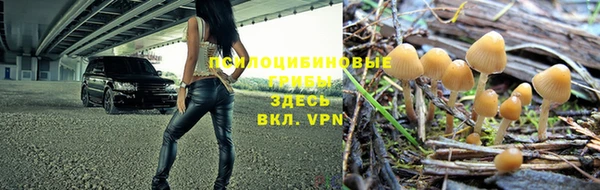 кокс Абаза