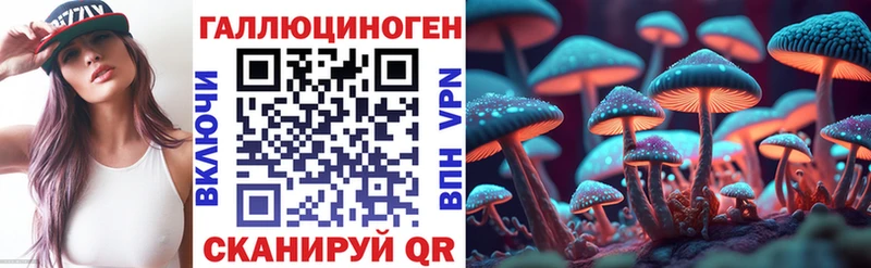 Галлюциногенные грибы Psilocybe  Лосино-Петровский 